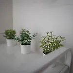 Estudio Nuevo En El Centro De Appartement *
