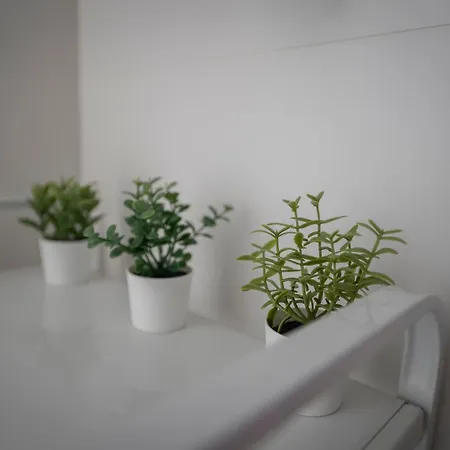 Estudio Nuevo En El Centro De Apartment *