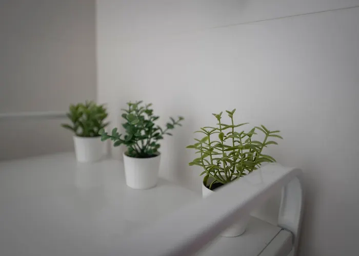 Estudio Nuevo En El Centro De Apartmán *